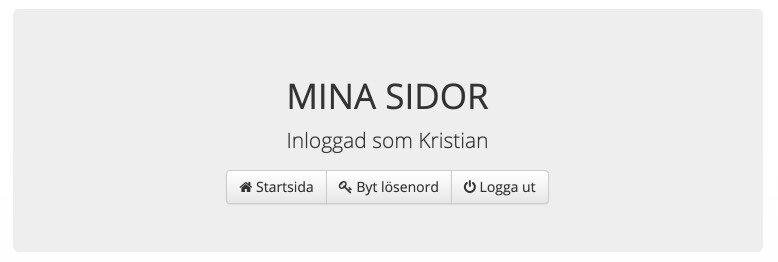 Kundinloggning - Mina sidor